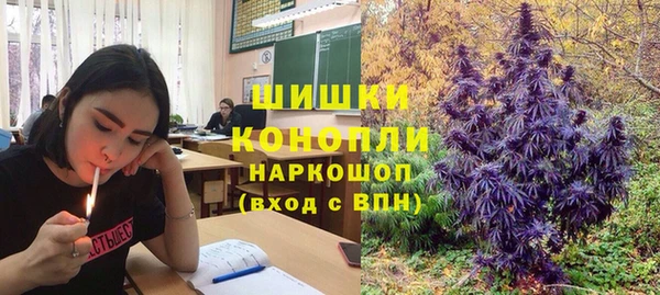 эйфоретик Надым
