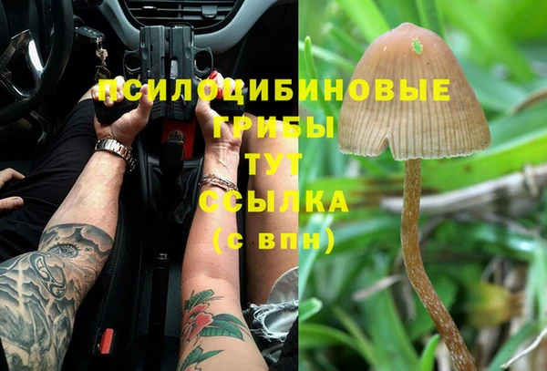 ешки Навашино