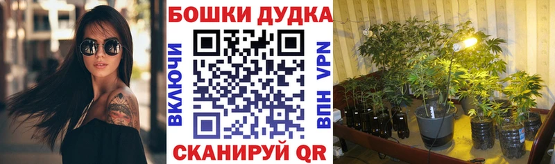Марихуана Bruce Banner  Купить  Камбарка 
